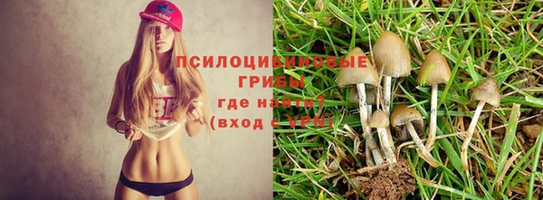 бутират Медвежьегорск