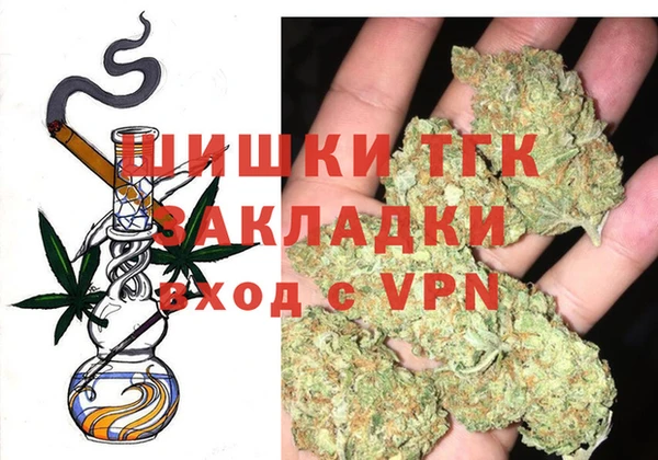 индика Медногорск