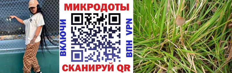 kraken ТОР  Каспийск  Галлюциногенные грибы Psilocybine cubensis  магазин продажи  