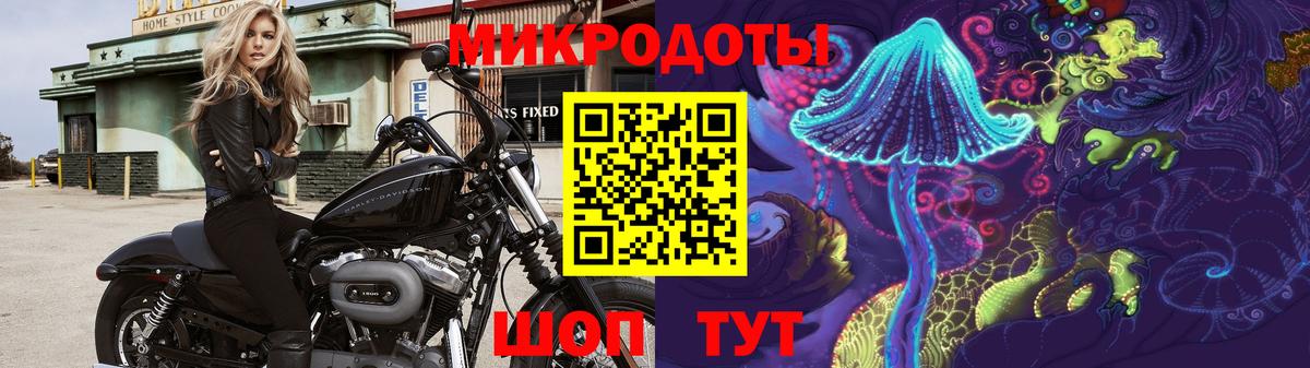 Галлюциногенные грибы прущие грибы Каспийск